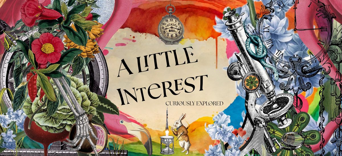 A Little Interest, Curiously Explored